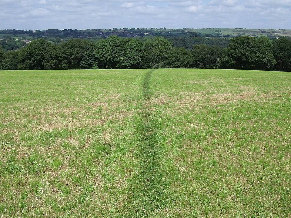 草地に残る踏み跡の道