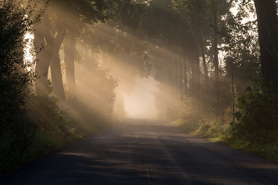 Sunrise in morning mist near Dülmen (Hülstener Straße), North Rhine-Westphalia, Germany