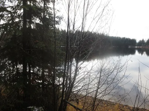A Calm Rainy Morning in Late Autumn at Browne Lake Provincial Park